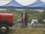 Sommerfest 2010