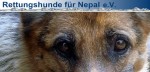 rettungshunde nepal