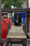 Dorffest Stotzheim