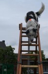 Dorffest Stotzheim