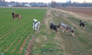 SAM_0796