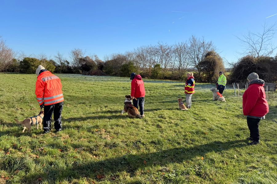 Ausbildung Unterordnung