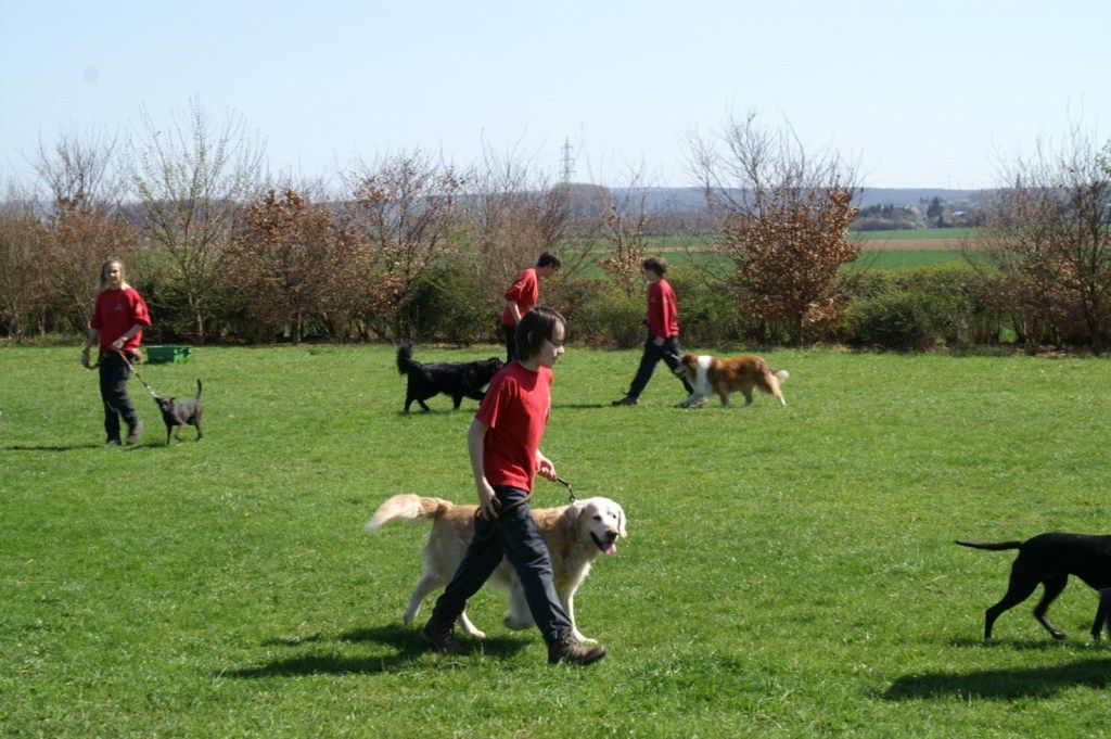 Ausbildung Jugend April 2010