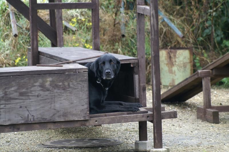 Ausbildung Jugend Geräte 2008