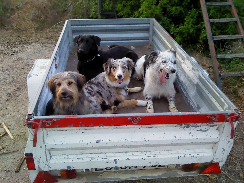 Verschönerungsarbeiten Wandergerüst