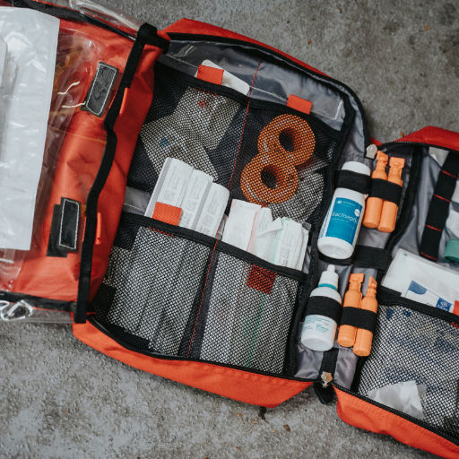 Erste Hilfe am Hund Lehrgang